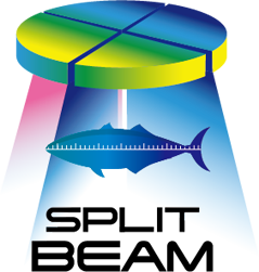 SPLIT BEAM