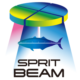 SPRIT BEAM