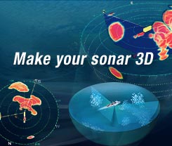 F3D-S