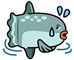 おどおどしている「マンボウ」