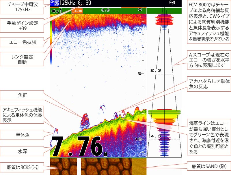 GPS魚探映像：アカハタを追う vol.6