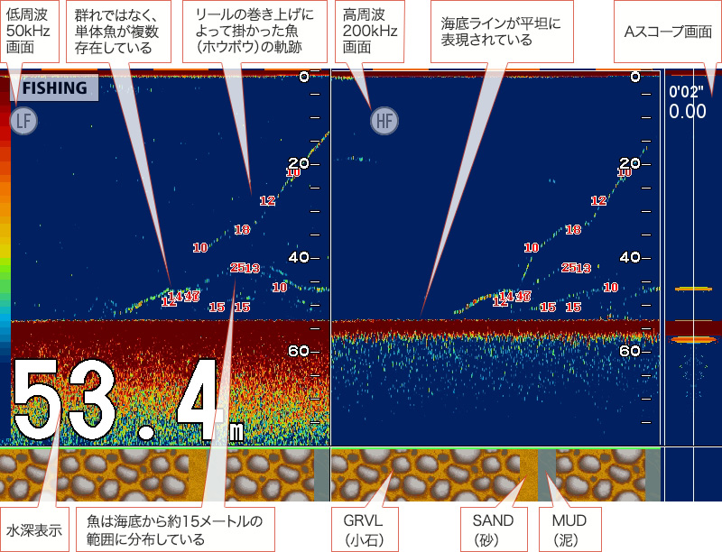 ホウボウを追う vol.1 GPS魚探映像