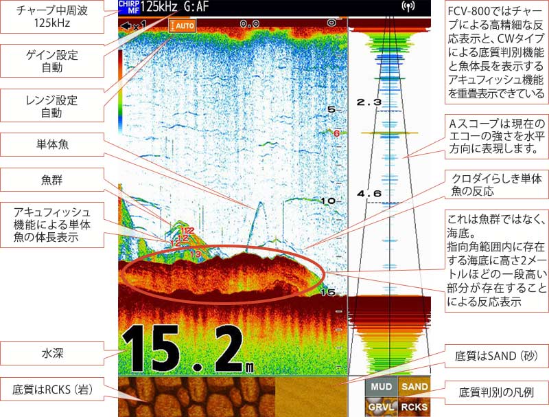 GPS魚探映像：クロダイを追う