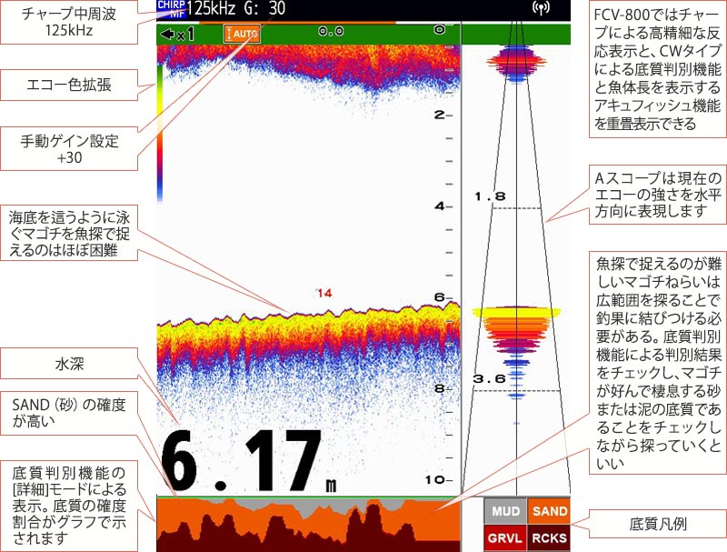 マゴチを追う vol.8 魚探映像