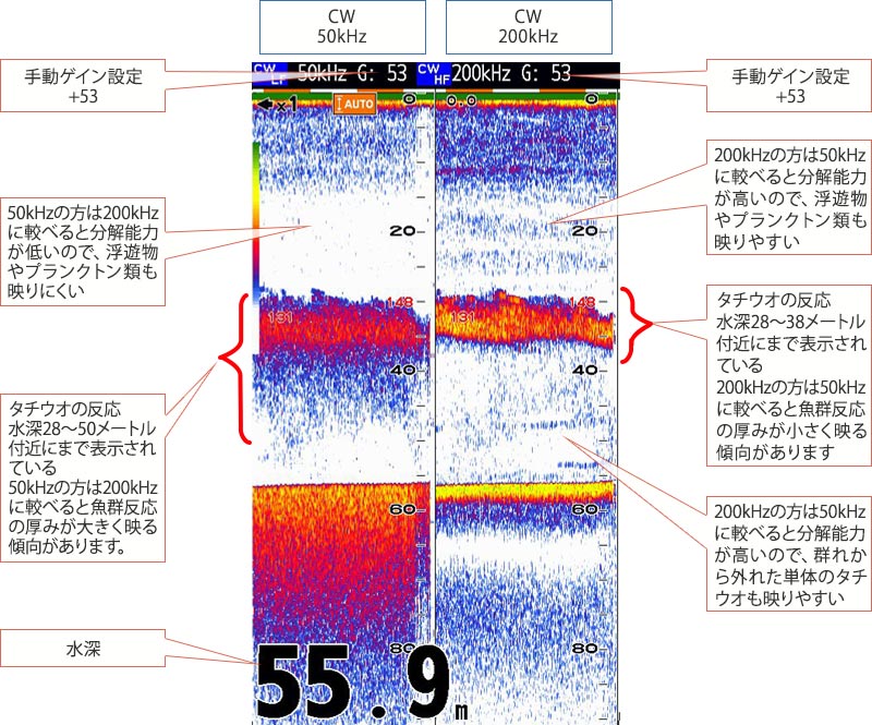 タチウオを追う vol.7 魚探映像