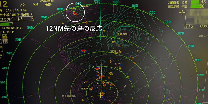 12NMレンジにて遠方の鳥を捉えた映像（FAR-2258）
