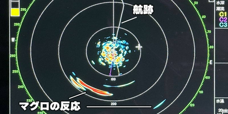 ソナーで捉えたマグロ（CSH-10）
