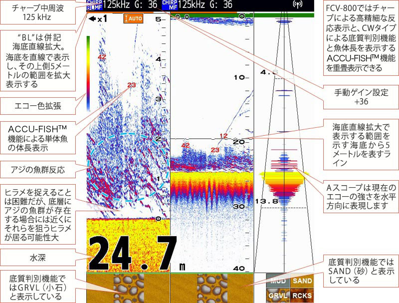 底質判別や A スコープを活用することで、より多くの情報が得られる（FCV-800） 