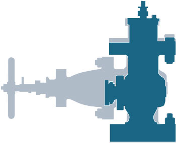 Comparison between the DS-80 valve (40kg)