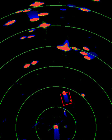 Examples of Target Display by Function