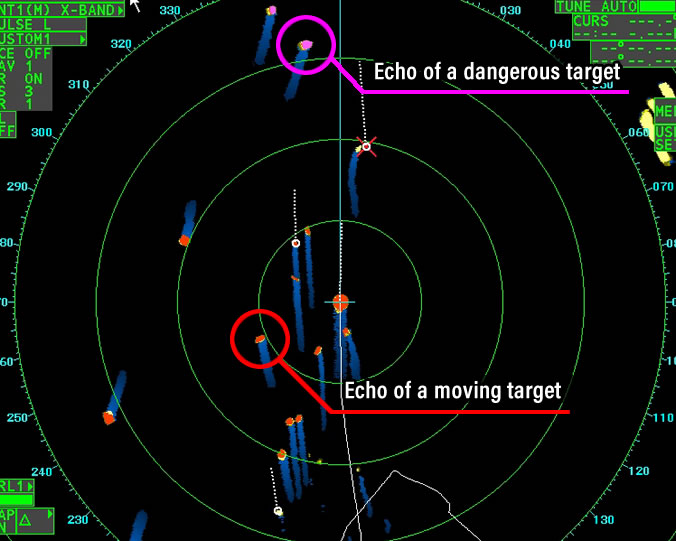 Echo analysis