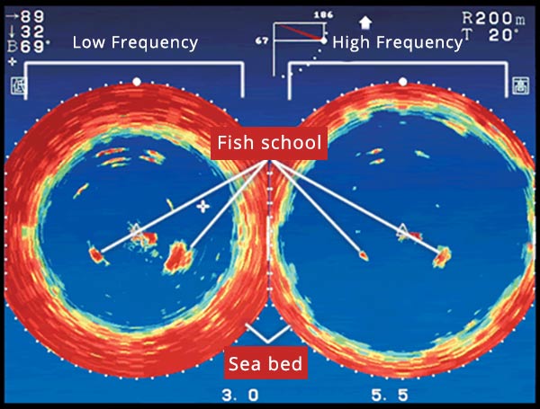 https://www.furuno.com/img/technology/sonar/basic/sonar_view_img05_en.jpg