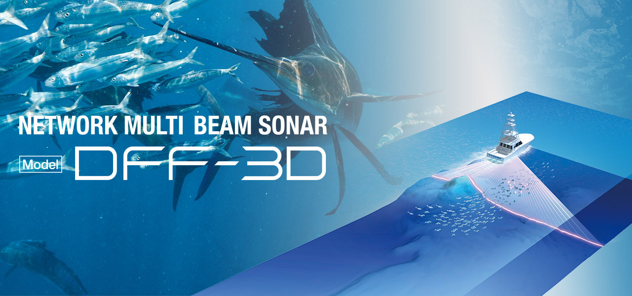 NETWORK MULTI BEAM SONAR DFF-3D