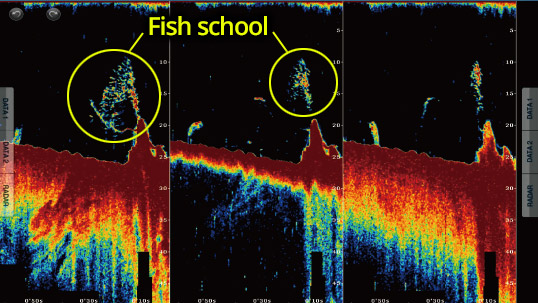 NETWORK MULTI BEAM SONAR DFF-3D